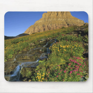 Alpine Wildblumen & Mt Clemens am Logan Pass Mousepad