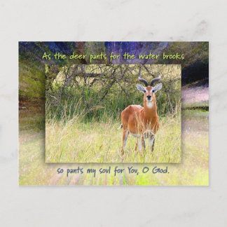 Als das Hirsch für das Wasser sprießt.. Postkarte