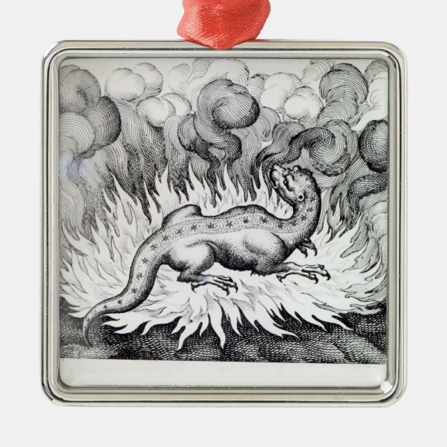Als die Salamanderleben im Feuer Ornament Aus Metall (Vorne)