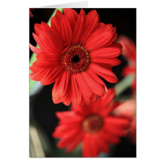 Als ich eine Affäre hatte