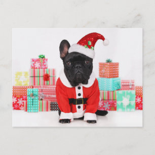 als Weihnachtsmann verkleideter Hund vor Weihnacht Feiertagspostkarte