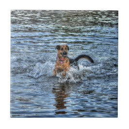 Alsatianisches Dogleiher Fliese