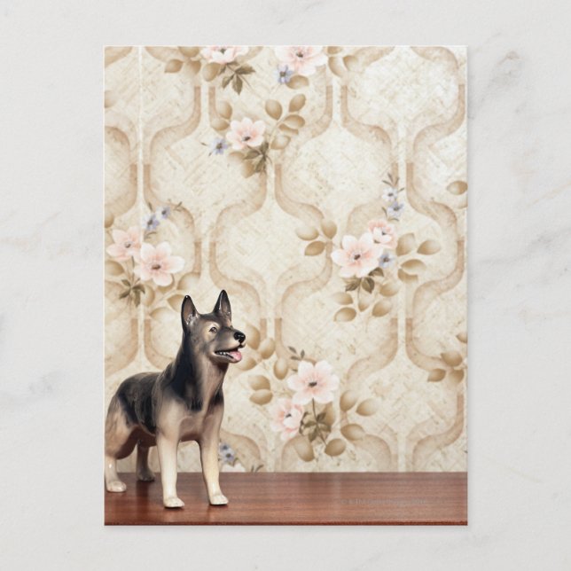 Alsationshund Postkarte (Vorderseite)
