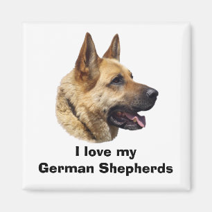 Alsatisches Schäferhundportrait Magnet