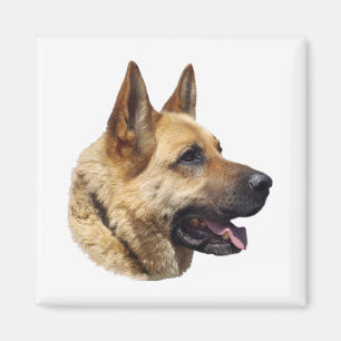 Alsatisches Schäferportrait Magnet