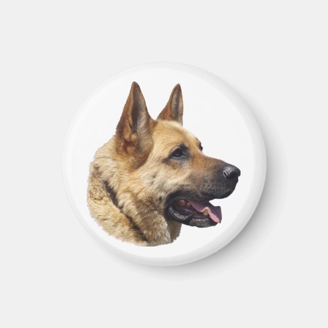 Alsatisches Schäferportrait Magnet (Vorne)