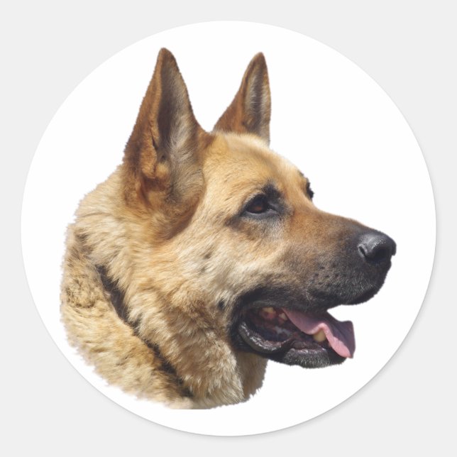 Alsatisches Schäferportrait Runder Aufkleber (Vorderseite)