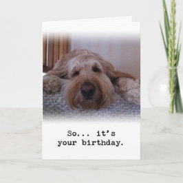 Also... Es ist dein Geburtstag Karte