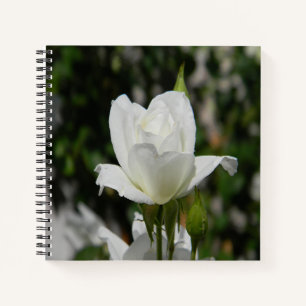Also rein... notizbuch