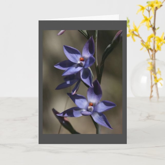 ALSO "SEHR SORRY" FÜR "DEINEN VERLUST" KARTE (Gelbe Blume)