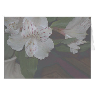 Alstroemeria-Blumen