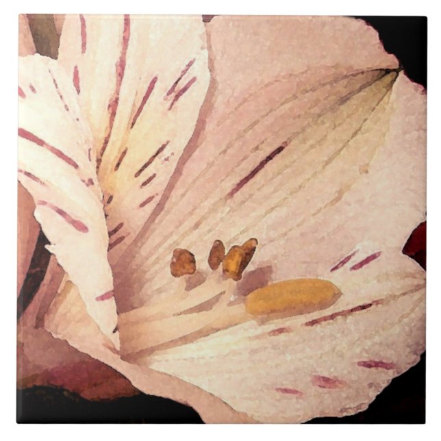 Alstroemeria in Blüte Fliese (Vorderseite)