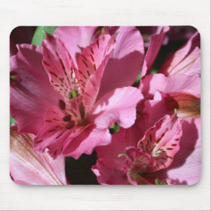 Alstroemeria-rosa Blumen-Mausunterlage Mousepad