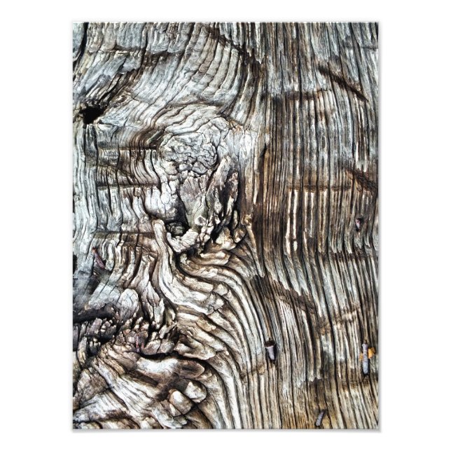 ALT ENGLAND FOTODRUCK (Vorne)