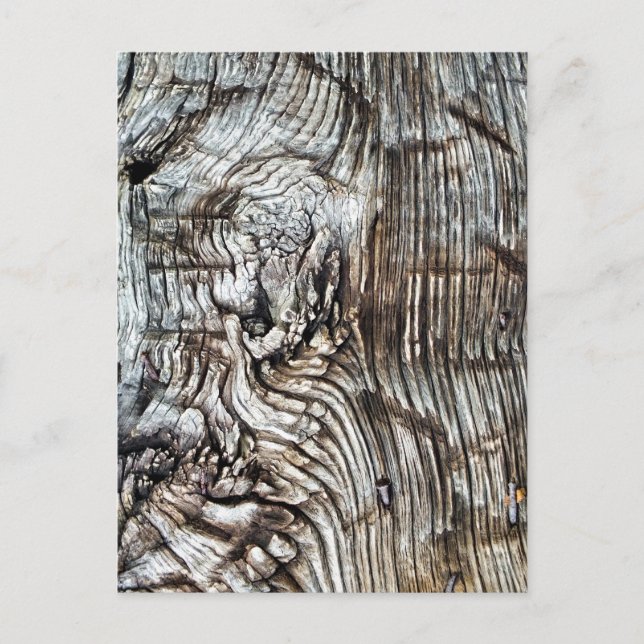 ALT ENGLAND POSTKARTE (Vorderseite)