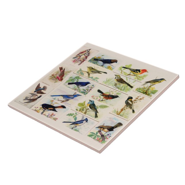 Alt modische Vögel Fliese (Seite)