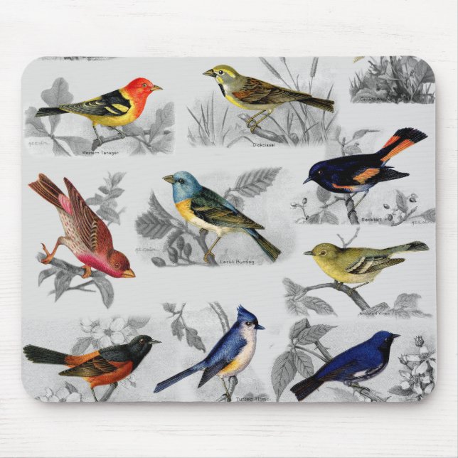 Alt modische Vögel Mousepad (Vorne)
