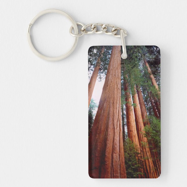 Alt wachsende Sequoia-Redwood-Bäume Schlüsselanhänger (Vorderseite)