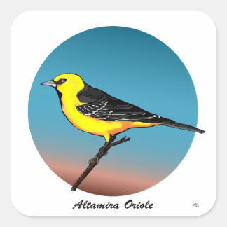 Altamira Oriole rev.2.0 Tasten & Stickers