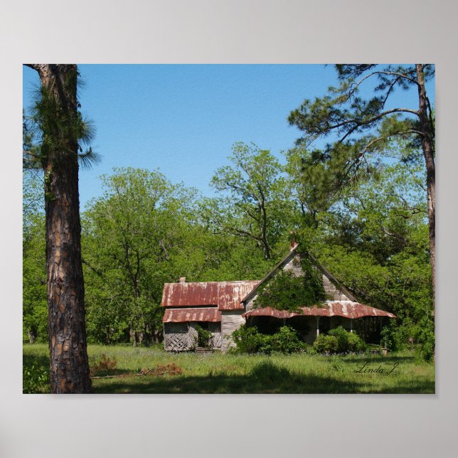 Alte abgebrochene Zuhause in South GA Canvas Print Poster (Vorne)