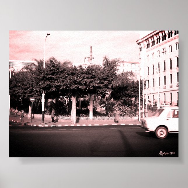 Alte Algerien Algier Autos Gebäude Poster (Vorne)