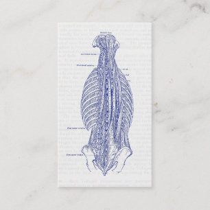 Alte anatomische Abbildung des Rückens Visitenkarte