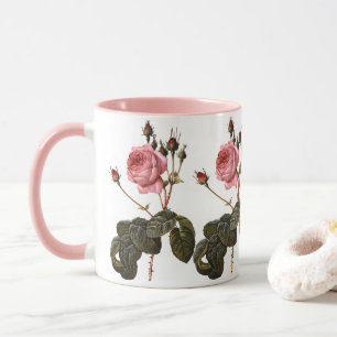 Alte Antique Rosa Gartenrosen in Blüte Tasse