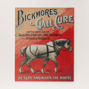 Alte Anzeige für Bickmore's Gall Cure für Pferde.
