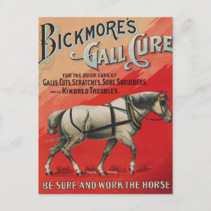 Alte Anzeige für Bickmore's Gall Cure für Pferde. Postkarte