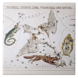 Alte astronomische Karte von Lacerta, Cygnus, Lyra Fliese