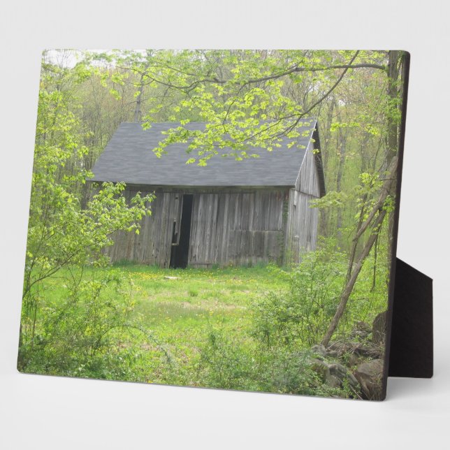 Alte Barschebene Fotoplatte (Seite)