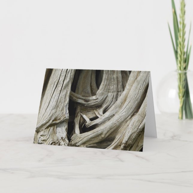 Alte Baum-Herz-Karte Karte (Vorderseite)