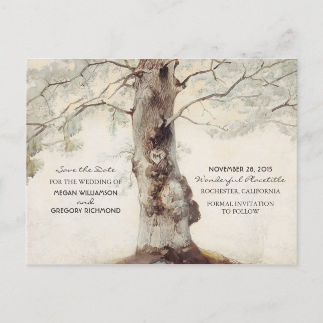 Alte Baum Landhochzeit Postkarten zur Vorankündigu (Vorderseite)