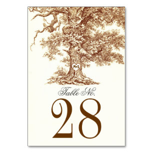 Alte Bäume Hochzeit Tischnummer Karten Platzkarten
