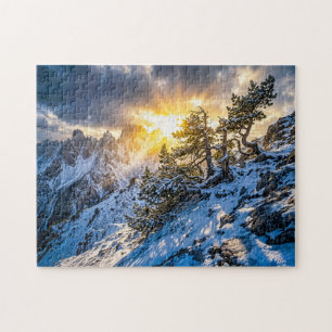Alte Bergkiefer im dramatischen Winterlicht