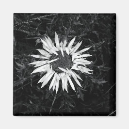 Alte Blume Magnet