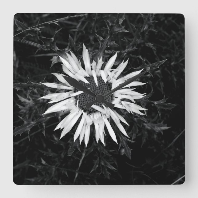 Alte Blume Quadratische Wanduhr (Vorderseite)
