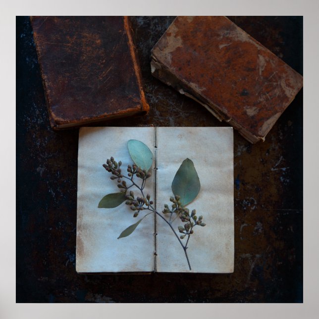 Alte Buchseiten mit Eukalyptus-Blätter Poster (Vorne)