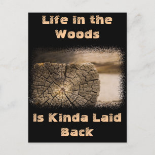 Alte Cabin Textures Postkarte