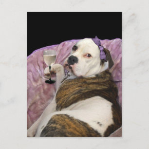 alte englische Bulldogge-Postkarte Postkarte