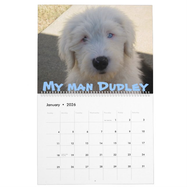 Alte englische Schäferhunde Kalender (Jan 2026)