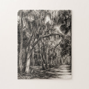 Alte Florida-Eichenhammock-Graphit-Skizze Rockle