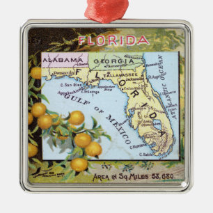 Alte Florida-Karte Ornament Aus Metall