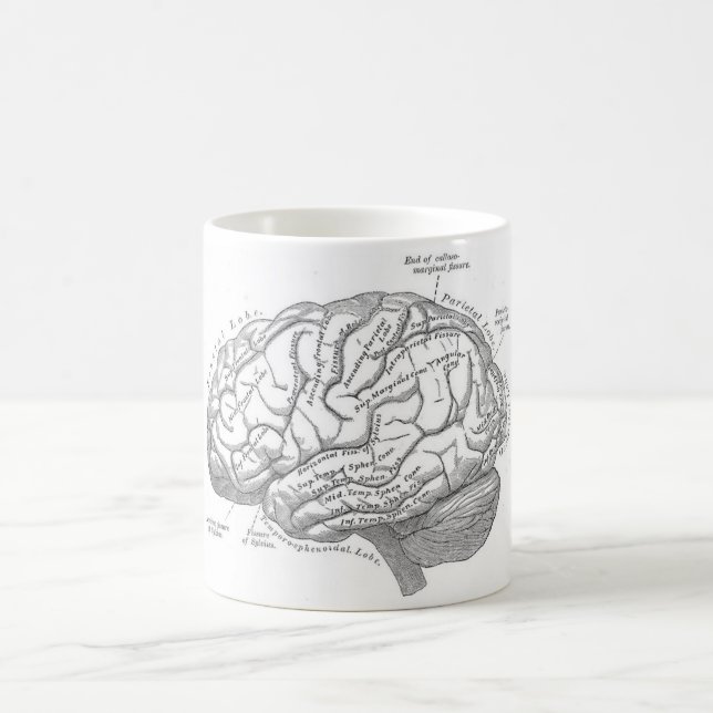 Alte Gehirn Anatomie Kaffeetasse (Mittel)