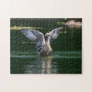 Alte Goose Wing Action