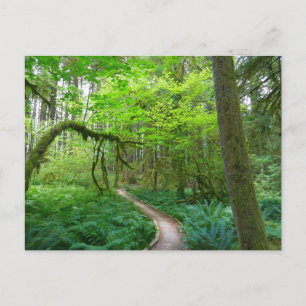 Alte Groves Lodge im Olympischen Nationalpark Postkarte