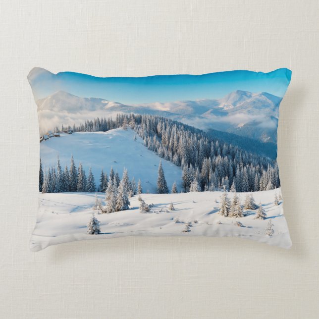 Alte grunge Holzstruktur oder Hintergrund mit Term Dekokissen (Vorderseite)