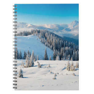 Alte grunge Holzstruktur oder Hintergrund mit Term Notizblock