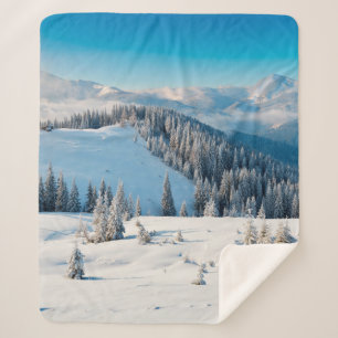 Alte grunge Holzstruktur oder Hintergrund mit Term Sherpadecke