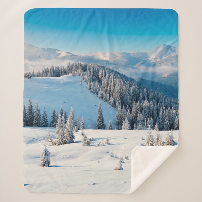 Alte grunge Holzstruktur oder Hintergrund mit Term Sherpadecke (Vorderseite)